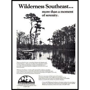 1986 Wilderness Southeast Educational Excursions Vintage Print Ad Swamp Wall Art